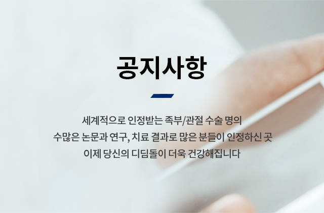 공지사항