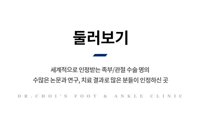 돌러보기